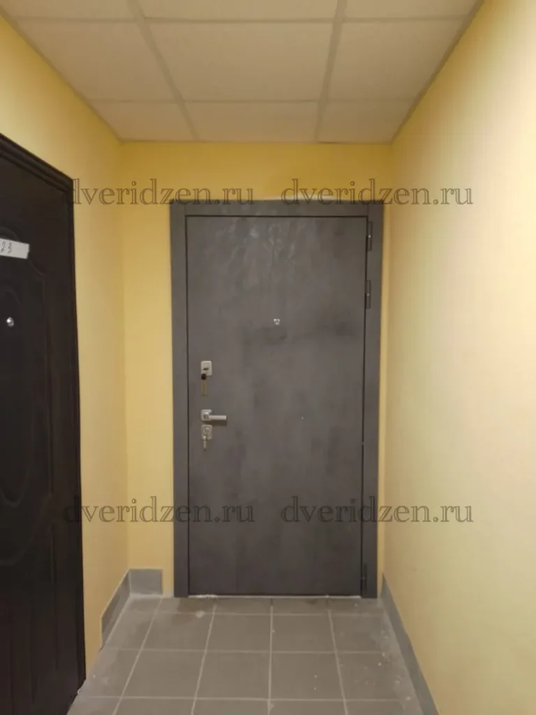 Входная дверь