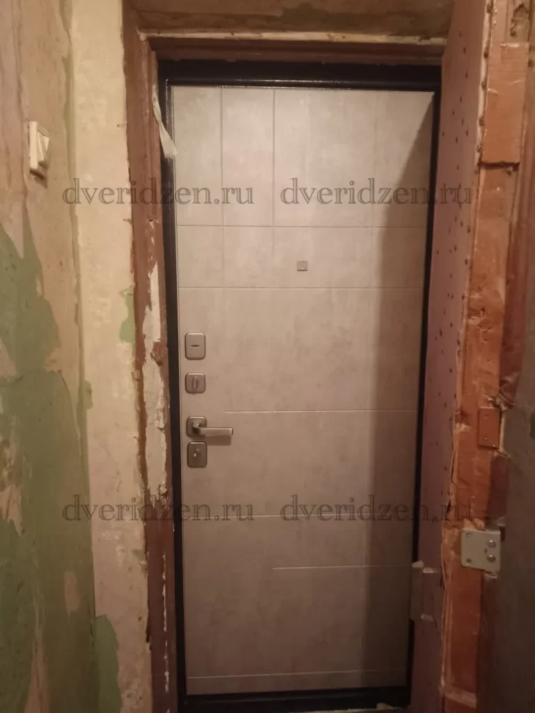Входная дверь