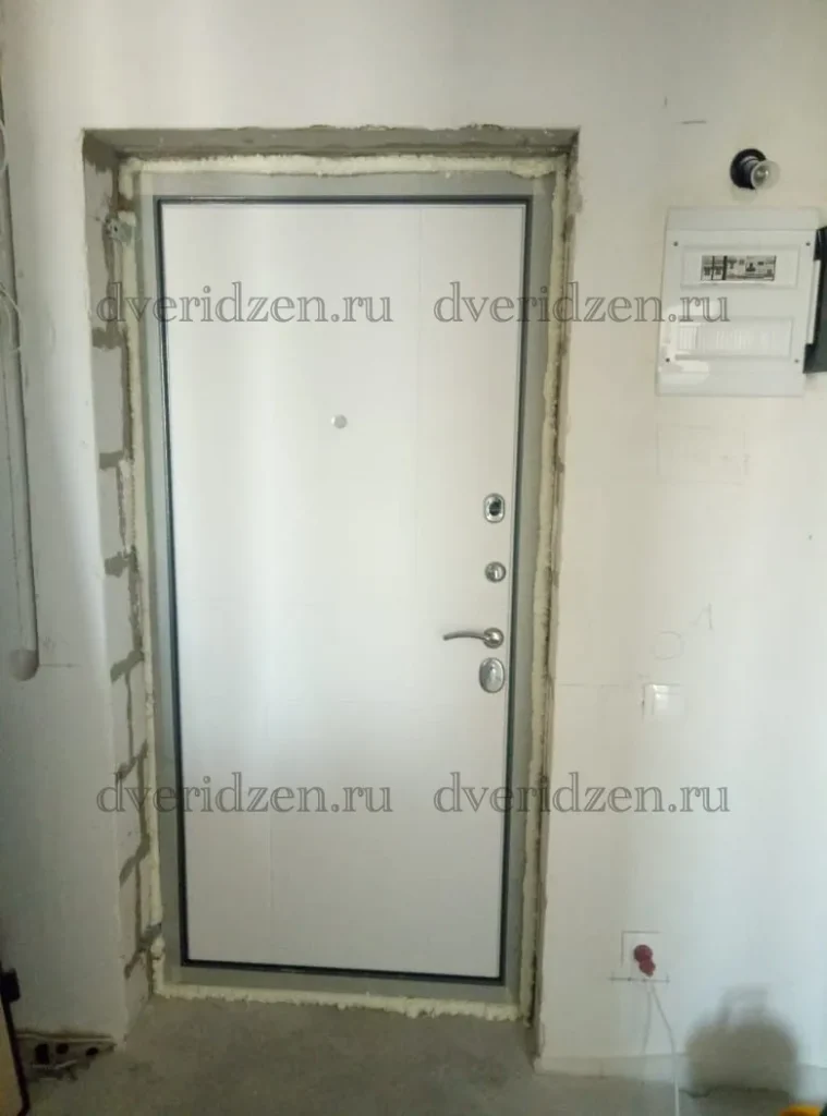 vhodnaya-dver-ustanovka-ot-dveri-dzen-tula-47