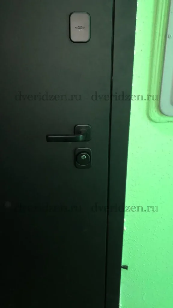 Входная дверь